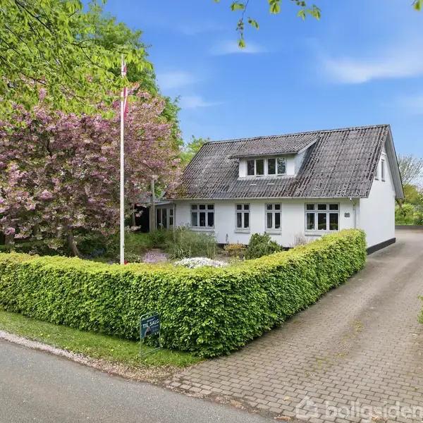 Hvidt hus med gråt tag står stille bag en velplejet hæk i en frodig have. Et blomstrende træ og flagstang er synlige, bilfri vej løber foran.