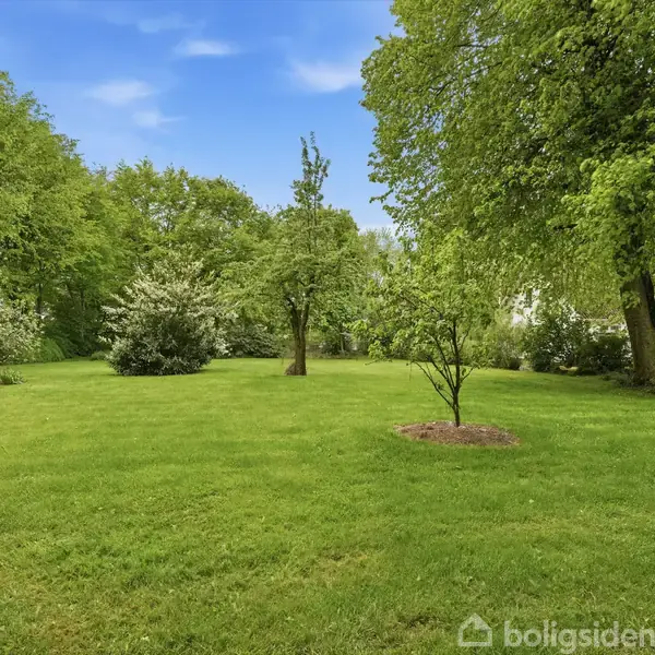 Græsplæne omgivet af frodige træer og buske, stående i en park eller have. Klar blå himmel over grønne, tætte blade. Ingen tekst til stede.