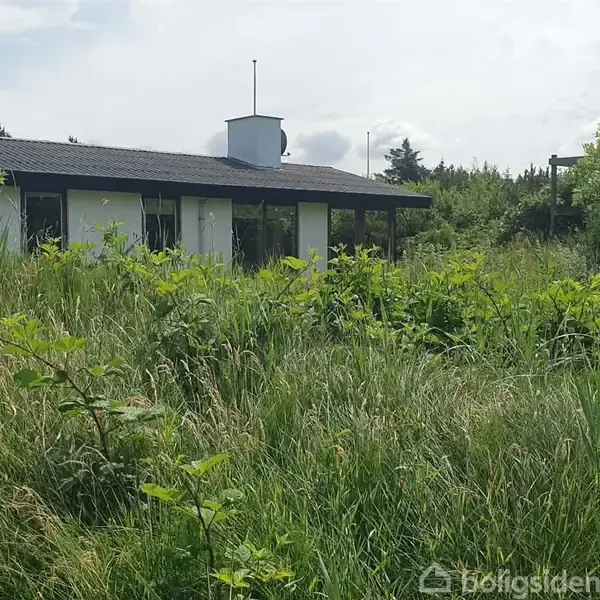 En enkel, lav bygning med fladt tag står stille bag højt græs og buske. Bygningen ses delvist dækket af den frodige, naturlige vegetation under en skyet himmel.