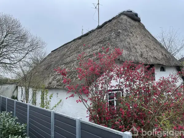 Bindingsværkshus med stråtag står i en have med græs og flisegang. Nummer 22 ses på huset. Træer uden blade omgiver bygningen.