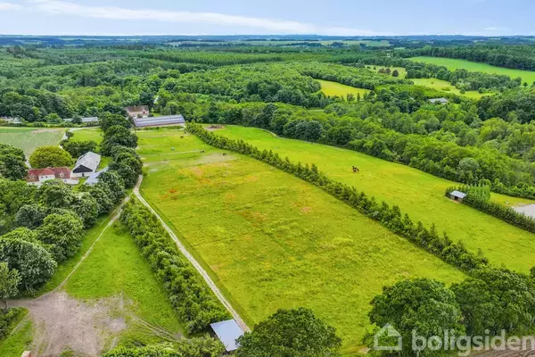 Luftfoto af en grøn mark med en hest græssende midt i landskabet. Omgivet af træer og landbrugsbygninger, med skov i baggrunden under en blå himmel.