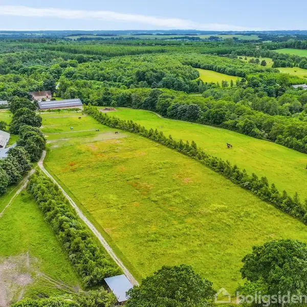 En grøn eng omkranset af træer, med markerede stier og enkelte bygninger i baggrunden under en klar, blå himmel. Vegetationen er frodig, og landskabet strækker sig i det fjerne.