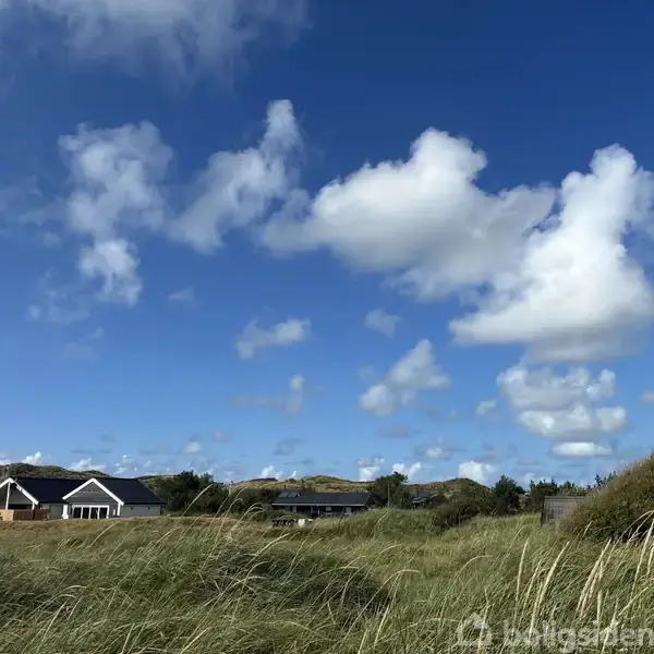 Flere huse står roligt i en åben græsmark med bølgende græsstrå under en klar blå himmel fyldt med spredte, hvide skyer i et landskab præget af natur.