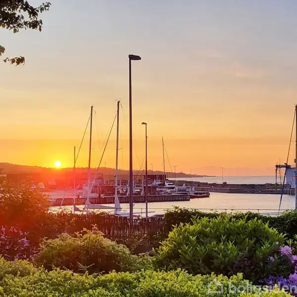 Solnedgang over havn med sejlskibe ved kaj. Blomster og buske fylder forgrunden, mens den gyldne himmel farver scenen i varme nuancer.