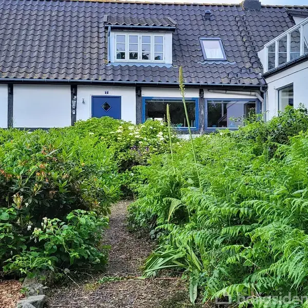 Et hvidt bindingsværkshus med blå vindueskarme og dør står forrest i billedet. En grøn have med buske og bregner omkranser huset. Nummeret "22" ses på døren.