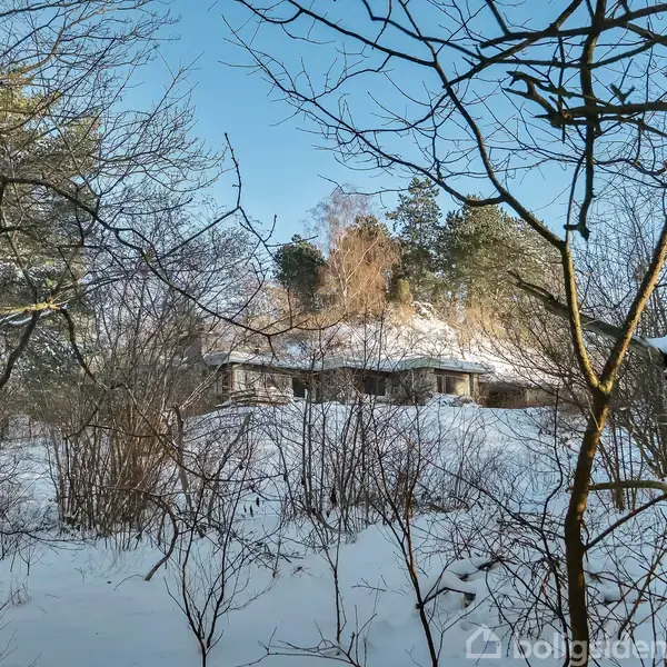 Et hus ligger stille dækket af sne omgivet af tynde træer og buske i et vinterlandskab. Sneen dækker jorden, og himlen er blå, hvilket skaber en rolig atmosfære.