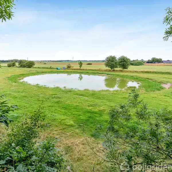 En lille sø reflekterer himlen, omgivet af grønt græs og spredte træer. I baggrunden ses åbne marker under en klar, blå himmel.