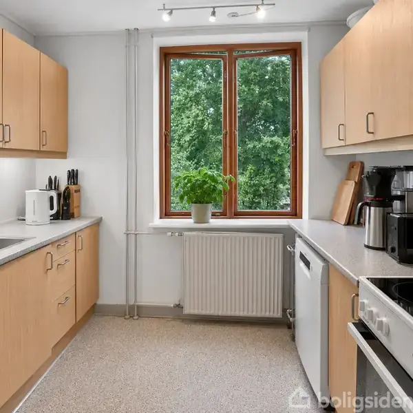 Køkken med lyse træskabe, en vask, og diverse apparater som brødrister og kaffemaskine. En grydeplante står i vinduet med udsigt til frodige træer udenfor.