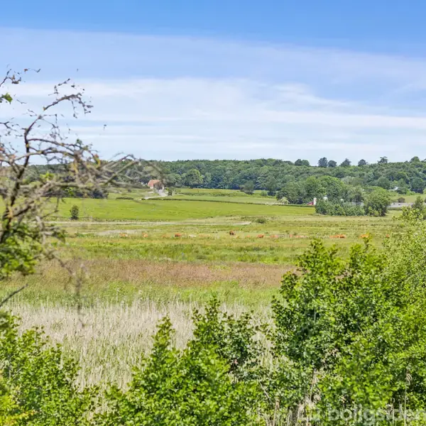 Landskab med frodige grønne enge og spredte træer. I baggrunden ses skovklædte bakker under en blå himmel. En landejendom er delvist synlig i horisonten.