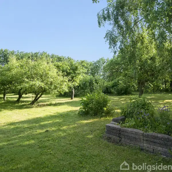 Grønne træer og buske står i en vidstrakt have, med sollys der skinner ned og skaber skygger. En stenhøj med lilla blomster ses i forgrunden.