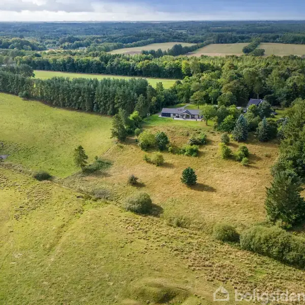 Luftfoto af et åbent landskab med en enkelt gård omgivet af skove og marker. En lang række af høje træer omkranser området, der har varieret vegetation.