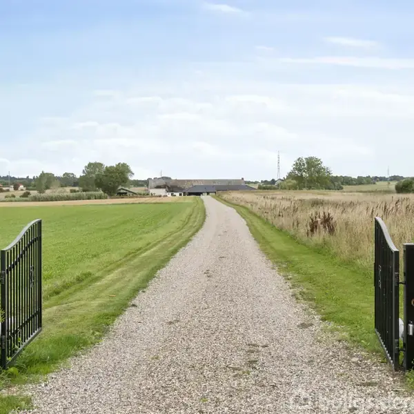 Grusvej strækker sig mellem åbne sorte porte og leder mod en fjern gård, omgivet af grønne marker og spredte buske under en blå himmel.