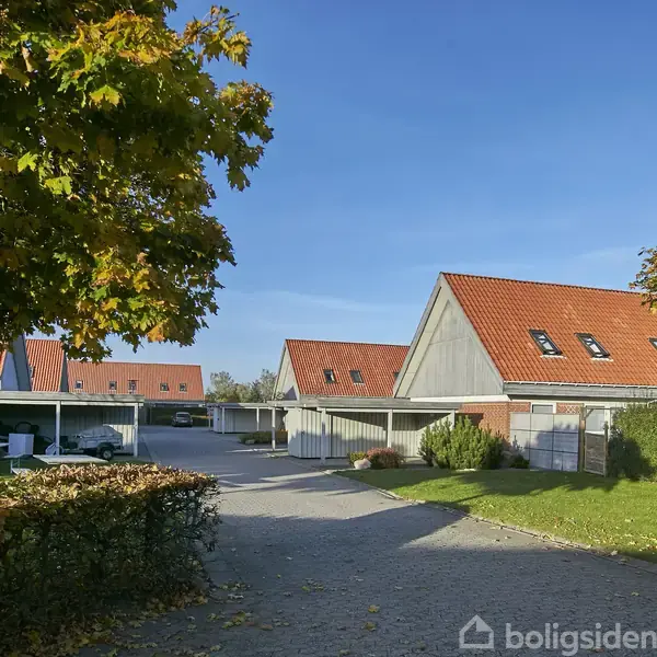 Rækkehuse med røde tegltage står i en række. En asfalteret vej fører forbi, omkranset af hække og træer med grønne og gyldne blade under en klar, blå himmel.