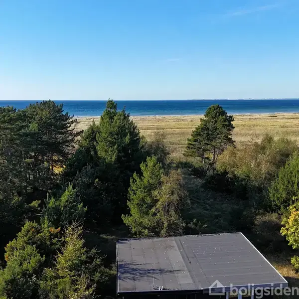 Et hus med fladt tag ligger omgivet af tæt beplantning af træer og buske, med udsigt over en græsbevokset strandeng og det blå hav under en klar, blå himmel.