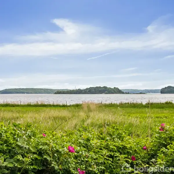 Grønne buske med lyserøde blomster står i forgrunden. En græsmark strækker sig ud mod en bred fjord, hvor grønne øer ses i horisonten under en klar blå himmel.