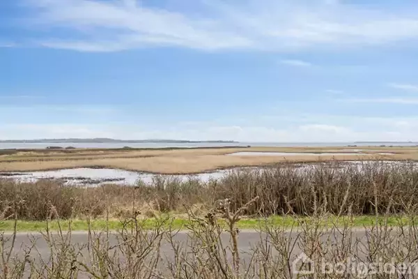 Vejen løber langs en lavtliggende kyster, omgivet af træbuske i forgrunden. Baggrunden præsenterer stille farvande og spredte øer under en blå himmel med skyer.