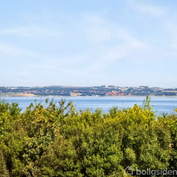 Vandet glitrer roligt i solen, omgivet af frodig, grøn vegetation i forgrunden, med udsigt til en by på den anden side af fjorden på en klar dag.