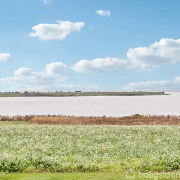Grøn mark i forgrunden strækker sig mod en stor sø. På modsatte bred ses en række træer, mens himlen er klar med spredte, hvide skyer.
