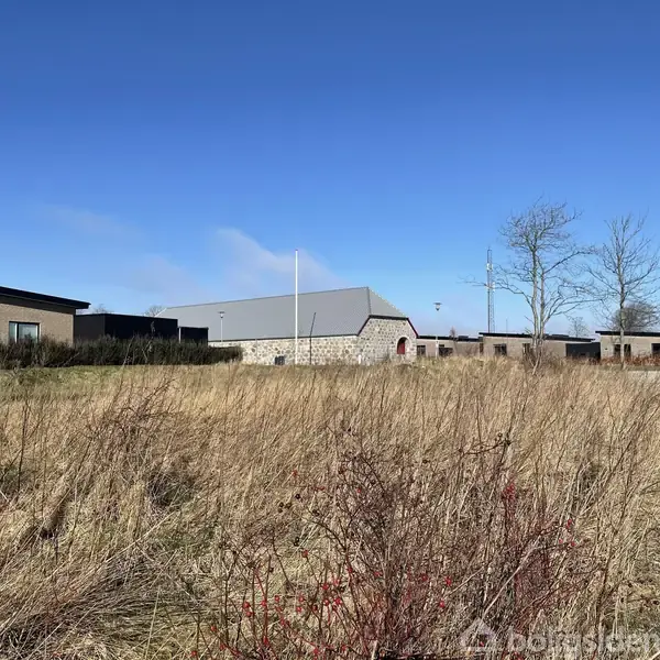 En moderne bygning med fladt tag står bag en åben mark med højt, vissent græs. Solen skinner fra en klar, blå himmel, og et par træer er i baggrunden.