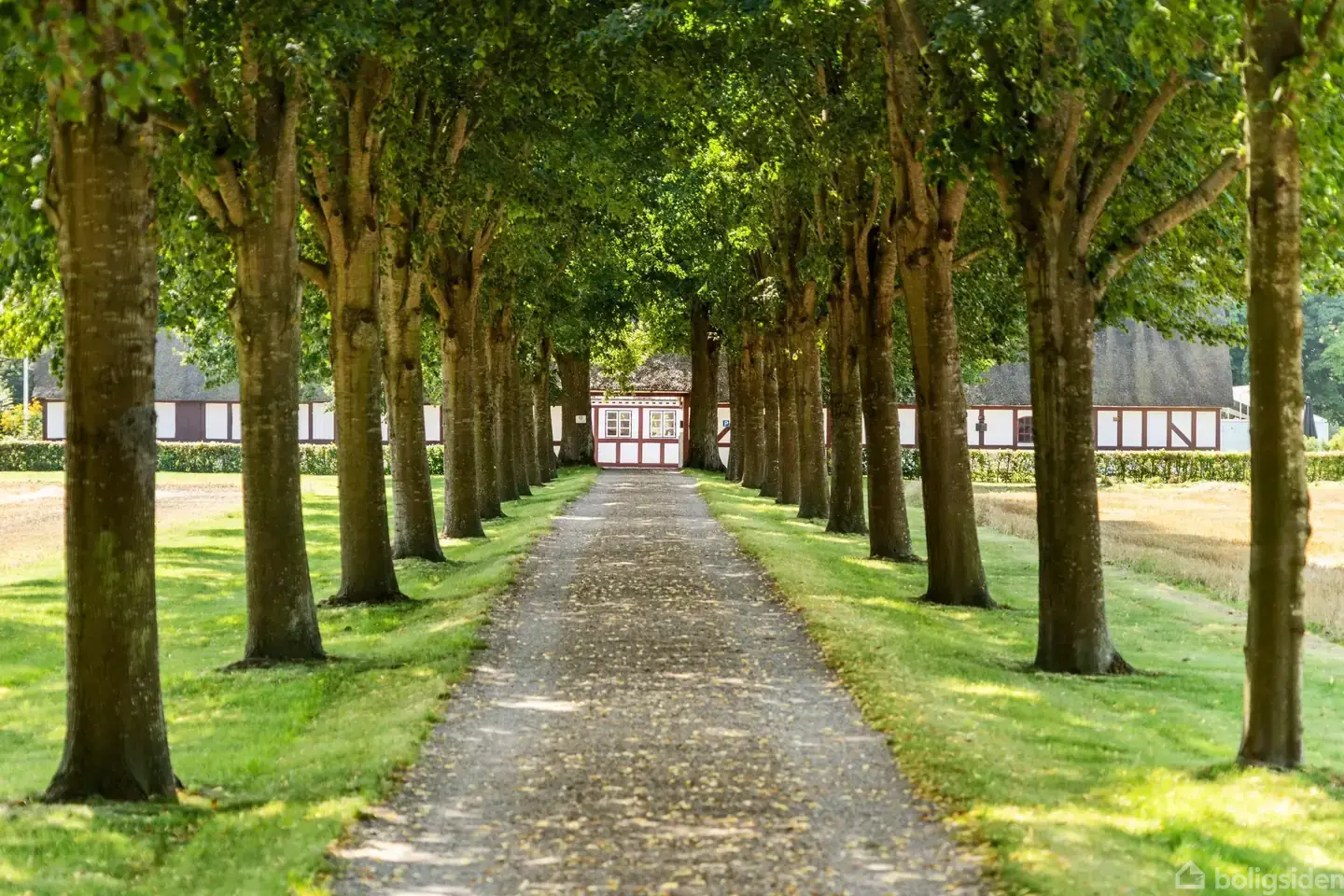 Landejendom på Lodskovvej 23, 5863 Ferritslev Fyn