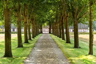 Landejendom på Lodskovvej 23, 5863 Ferritslev Fyn