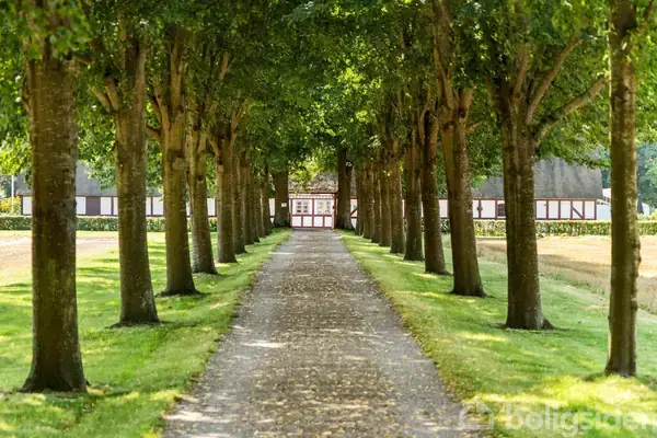 Landejendom på Lodskovvej 23, 5863 Ferritslev Fyn