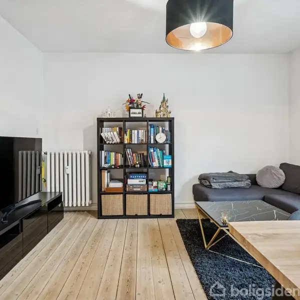Sort bogreol står op ad hvid væg med bøger og dekorationer. Ved siden af er en grå sofa. Fladskærms-TV står på lavt bord. Stueplante ved siden af.