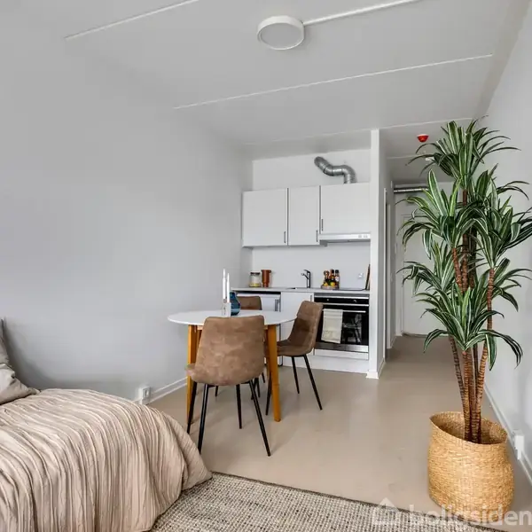 Plante i kurv ved siden af sofa. Rundt bord med to stole står foran et lille køkkenområde. Lysegrå vægge og tæppe skaber enkel boligindretning.