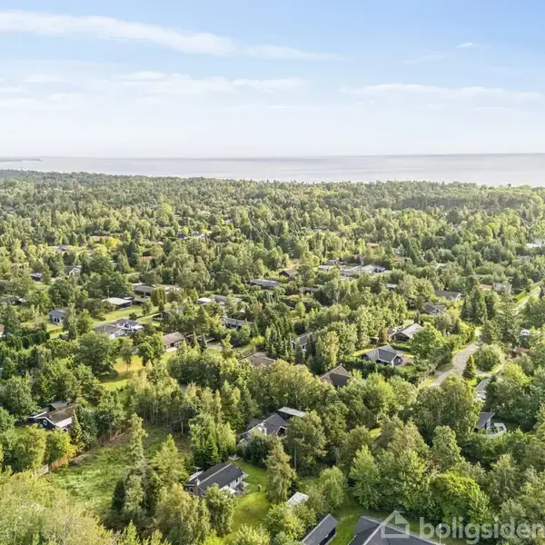 Luftfoto af et grønt, frodigt boligområde med spredte huse omgivet af skov. Veje snor sig gennem landskabet, og en stor sø eller hav ses i baggrunden.