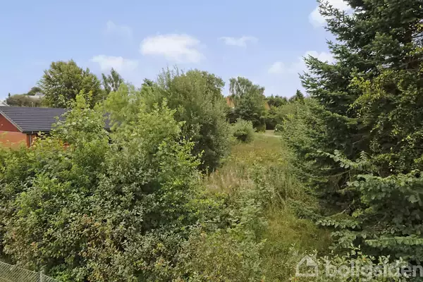 Tæt bevoksning dækker en græsklædt sti omgivet af buske og træer, der giver et fredeligt naturpræget miljø med et rødt hus delvist synligt til venstre i baggrunden.