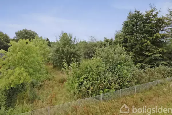 Tæt buskads vokser bag et trådhegn i en naturlig skovklædt område under en klar, blå himmel.