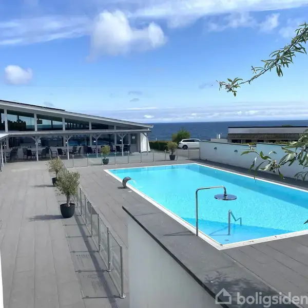 En rektangulær swimmingpool fyldt med vand er omgivet af en terrasse med planter. I baggrunden ses et moderne hus med store vinduer og havudsigt.