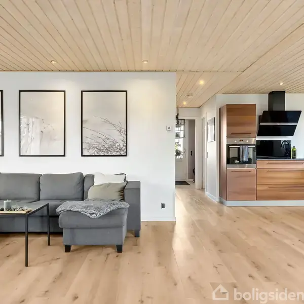 Grå sofa står i stue ved væg med tre indrammede billeder. Ved siden af er køkken med træmøbler og moderne apparater. Rummet har lyst trægulv og træloft.