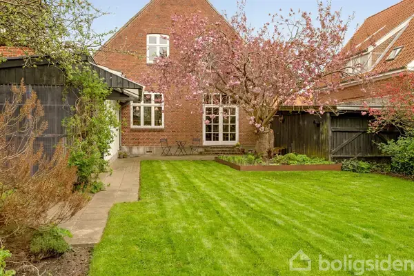 En blomstrende træ står i en have med velplejet grøn græsplæne foran et rødt murstenshus. Et sort skur og en flisebelagt sti er også synlige i baggrunden.