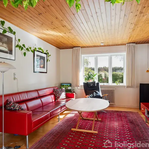 Rød sofa står i en stue med træloft og hvide vægge. Området er indrettet med grønne planter, billeder på væggen og et rødt tæppe. Store vinduer giver udsigt til naturen.
