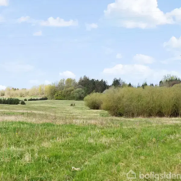 Grøn mark strækker sig over et bakket landskab; omgivet af træer i baggrunden og en klar blå himmel med få skyer.