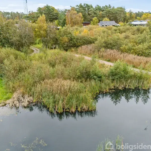 En sø med siv tæt ved bredden spejler en tætbevokset eng med grussti og spredte huse i baggrunden omgivet af skov.