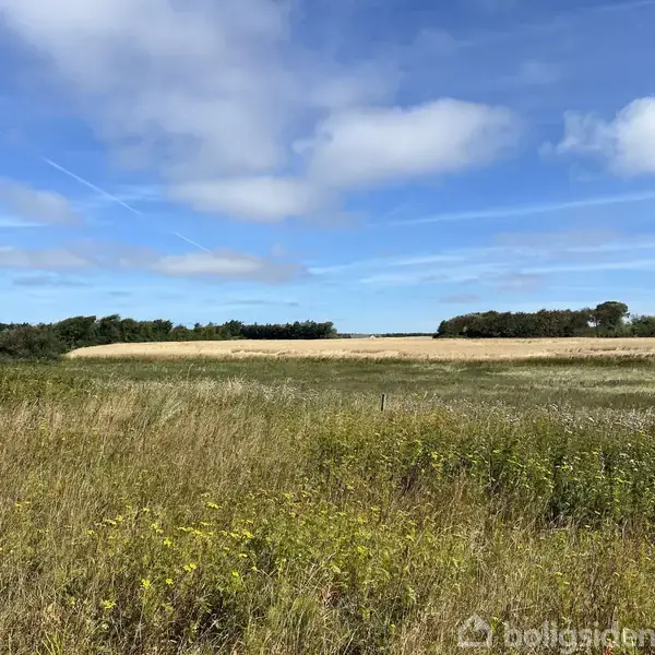 En åben mark strækker sig under en delvist skyet, blå himmel. I forgrunden ses græs og vilde blomster. I baggrunden er der en række grønne træer.