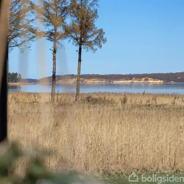Træer står roligt ved en sø i et landskab med gyldne marker og en blå himmel. Vandet reflekterer de omkringliggende bakker i baggrunden.