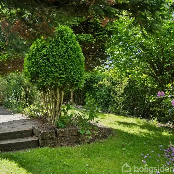 En grøn busk står fredeligt i en velplejet have ved siden af blomstrende rhododendron. Sollys filtrerer gennem trætoppene, og en stenbelagt sti leder diskret til en skjult bænk.