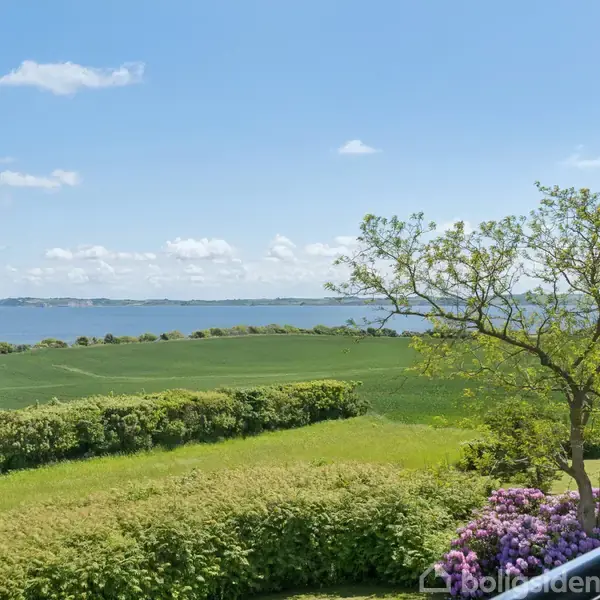 Træ står stille i en frodig have med grønne buske og blomstrende hortensia, omgivet af marker med udsigt over en blå sø under en klar himmel.