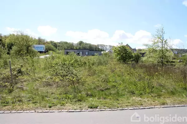 Græsklædt område med spredte buske, der grænser op til en vej, omgivet af moderne huse i en forstadslignende bebyggelse under en solrig, blå himmel.