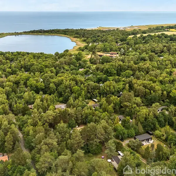 Skovområde strækker sig mod en sø i baggrunden, omgivet af tæt beplantning og små bygninger. Havet kan ses i horisonten, hvilket tilføjer en naturlig, stille atmosfære.
