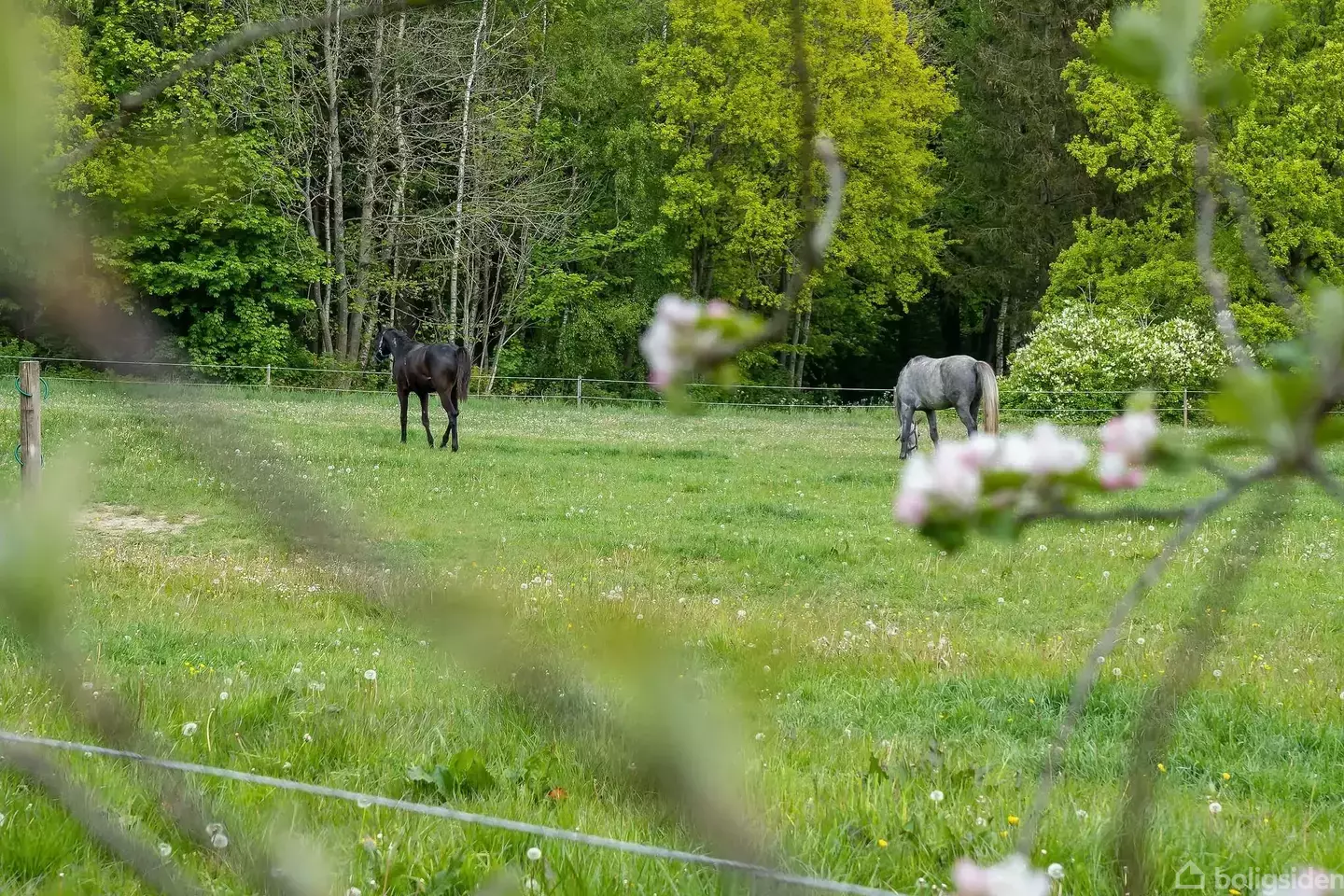 Helårsgrund på Brændekilde Væde Vej 32, 5250 Odense SV
