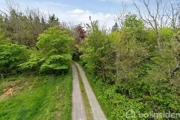 Grusvej strækker sig gennem frodig skov med tæt bevoksning på begge sider under en overskyet himmel.