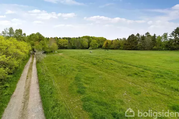 Landevej strækker sig gennem frodige grønne marker omgivet af skov. Himlen er delvist overskyet, og landskabet udstråler ro og natur.