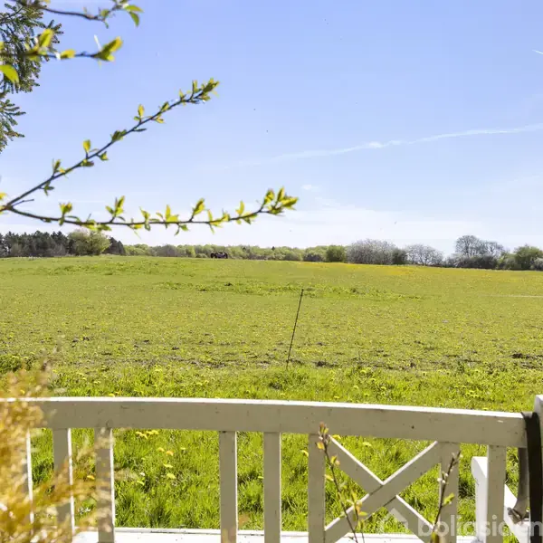 Hvidt træhegn omgiver en terrasse, der vender ud mod en vidstrakt grøn mark under en klar blå himmel med spredte træer i horisonten.