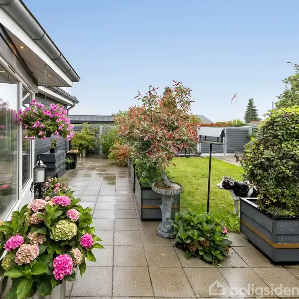 Terrasse med blomsterkasser fyldt med blomstrende hortensiaer og andre planter langs siden af et hus. Fliserne er våde, hvilket antyder regn. I baggrunden ses en grøn have.