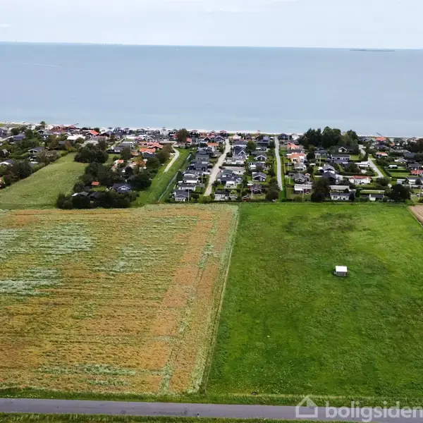 Mark med grønne og gyldne farver strækker sig hen mod en kystby med huse. I baggrunden ses havet og en blå himmel.