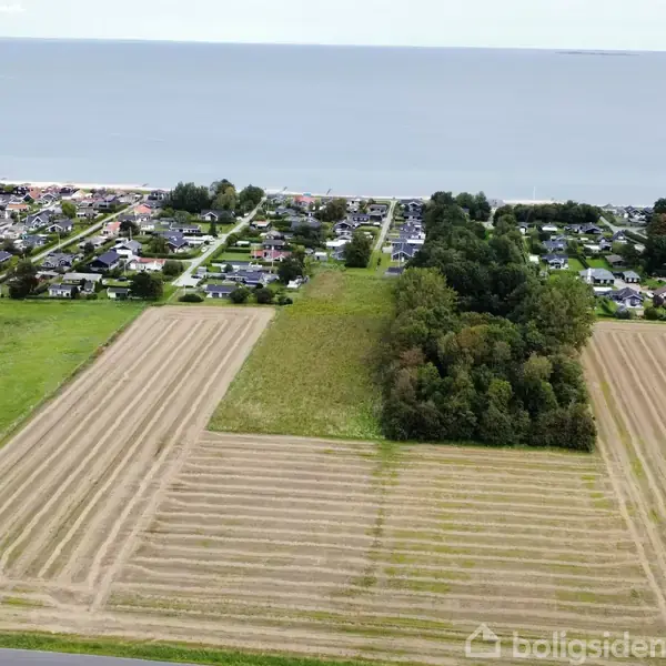 En luftfoto viser en mark med nyhøstede rækker, et bælte af træer i midten, og en kystby i baggrunden med havet yderst.
